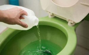 desentupir vaso sanitário privada